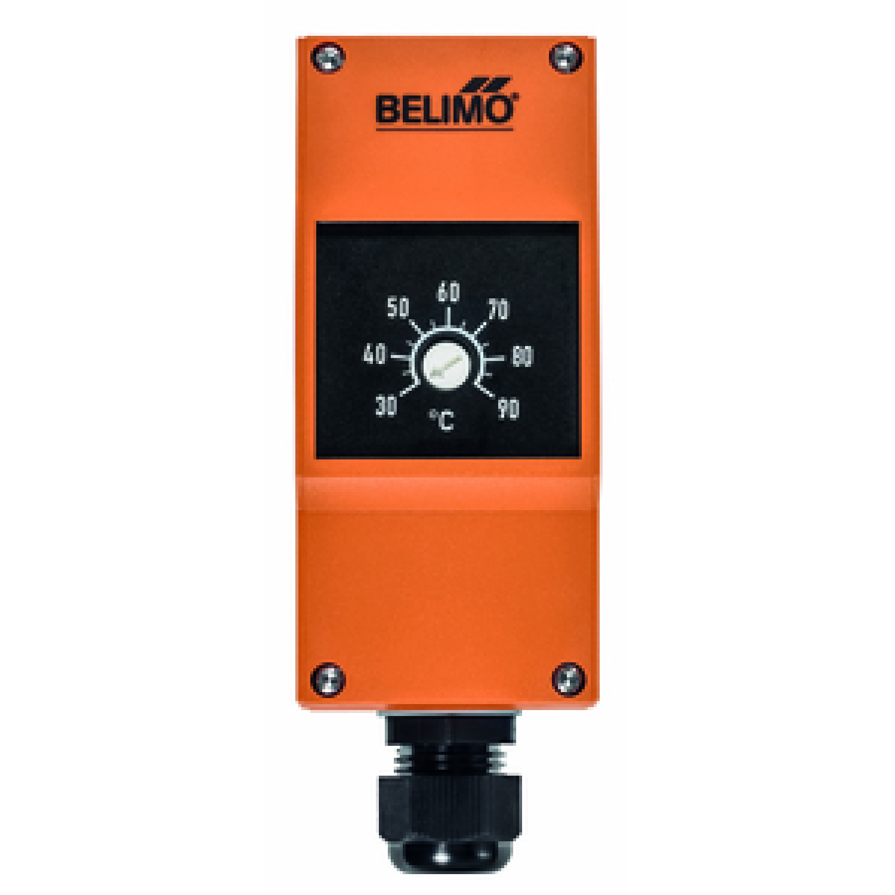 Belimo Temperature monitor TW Switch 30...90degC Capillary 1 m Auto reset