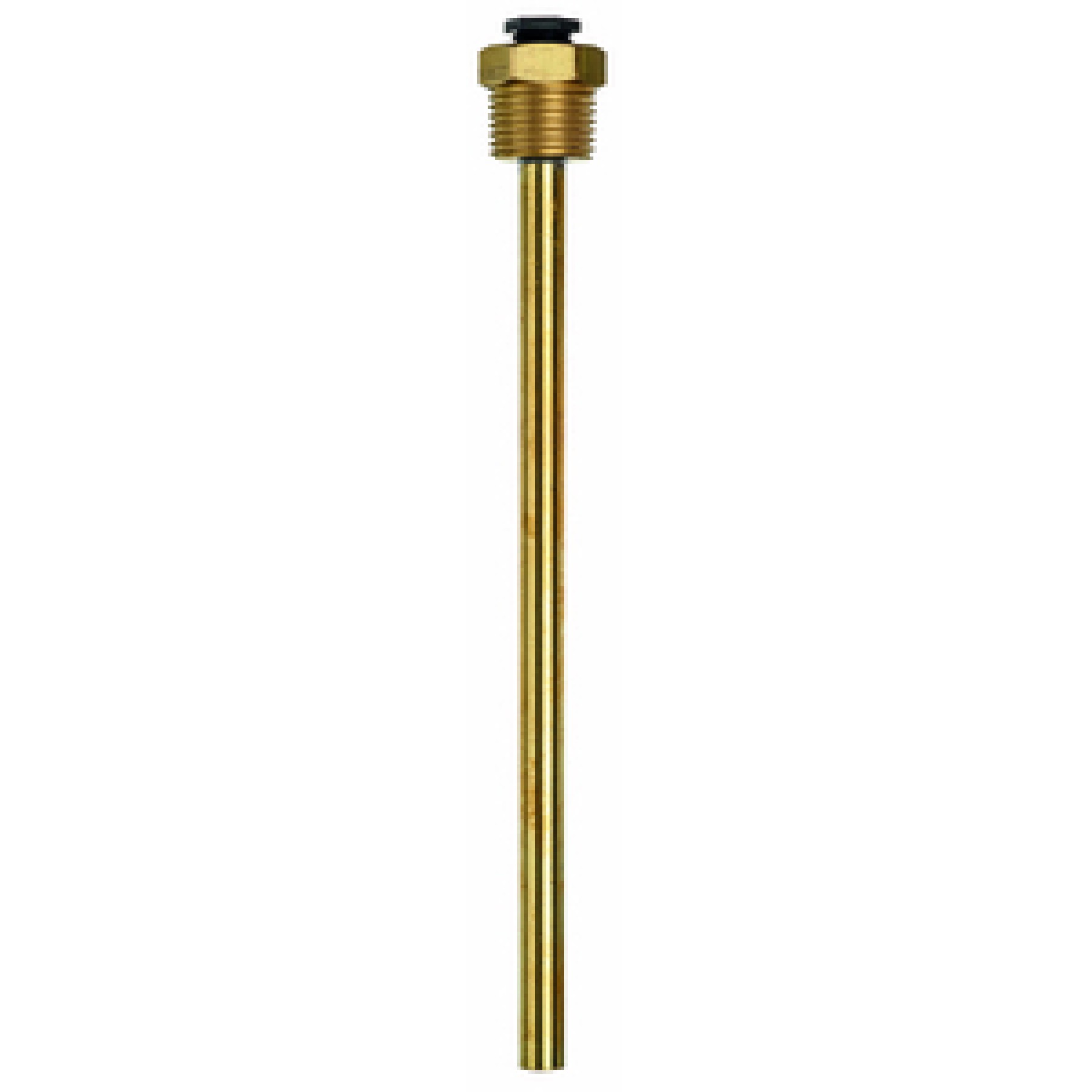 Belimo A-22P-A18 Thermowell Brass 50 mm R 1/2" SW22