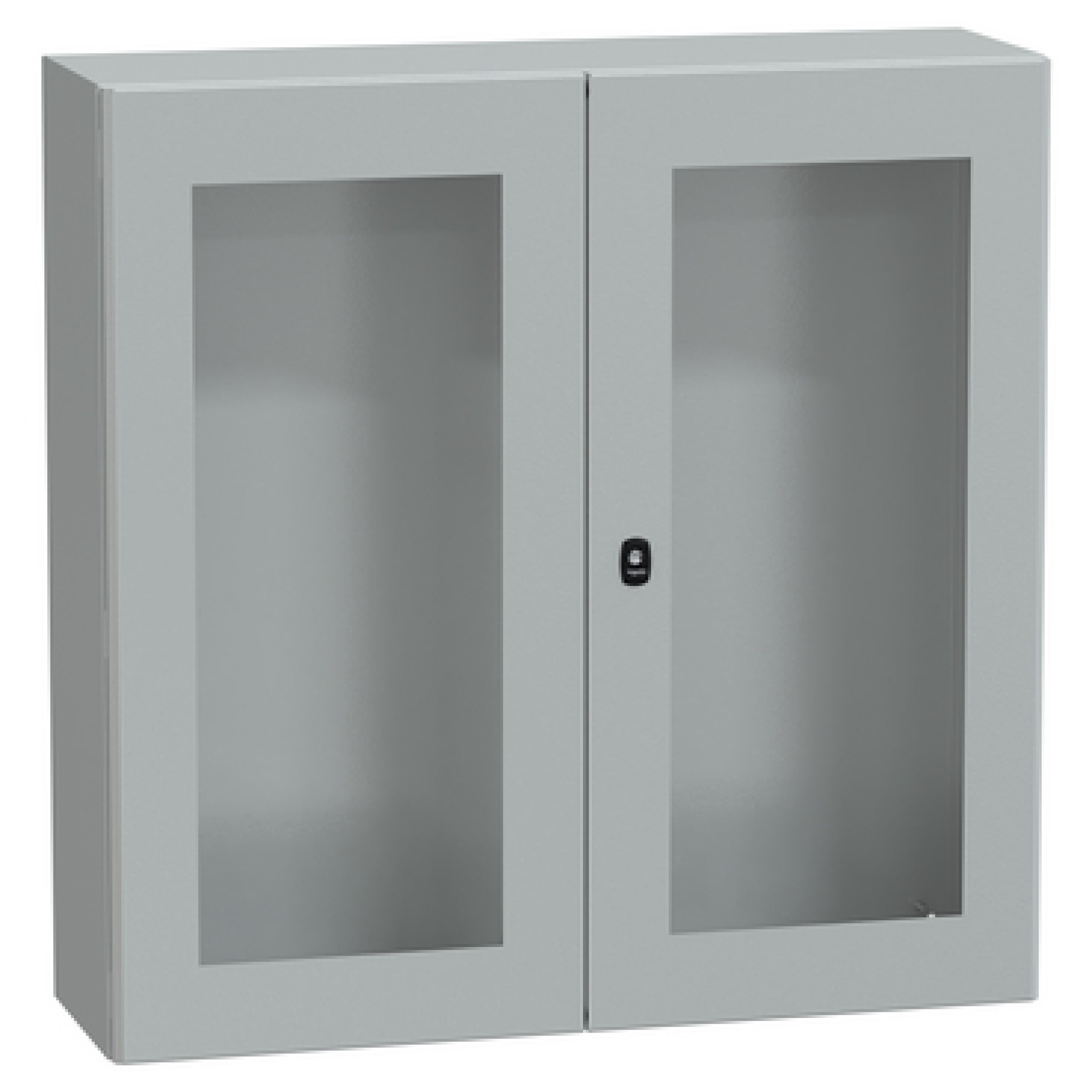 Schneider NSYS3D101030DT Double Door Steel Glazed Enclosure H1000xW1000xD300